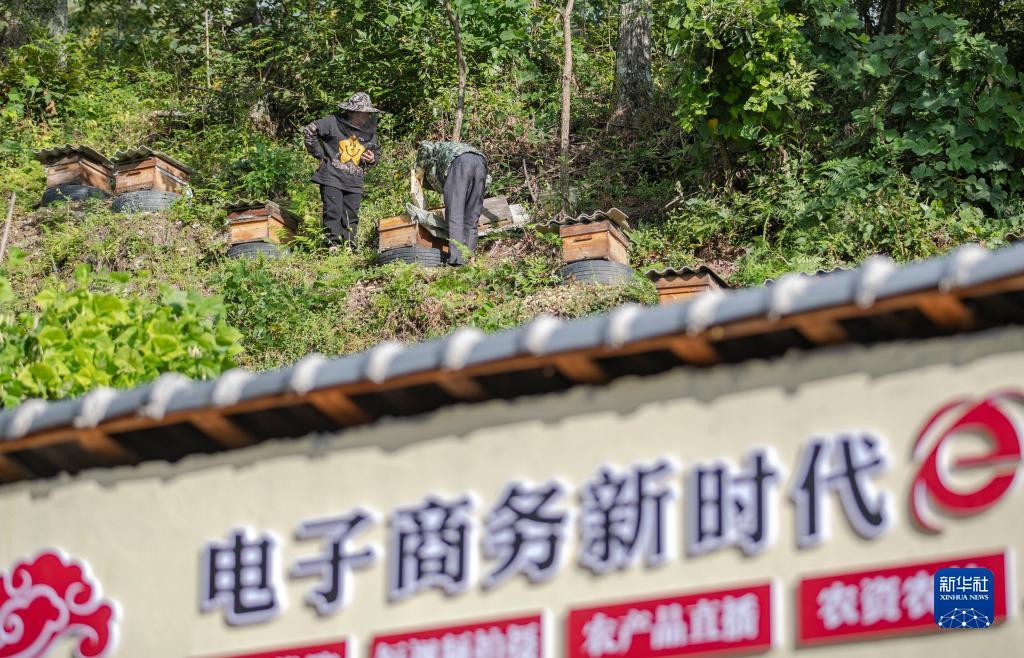 十大老赌网站